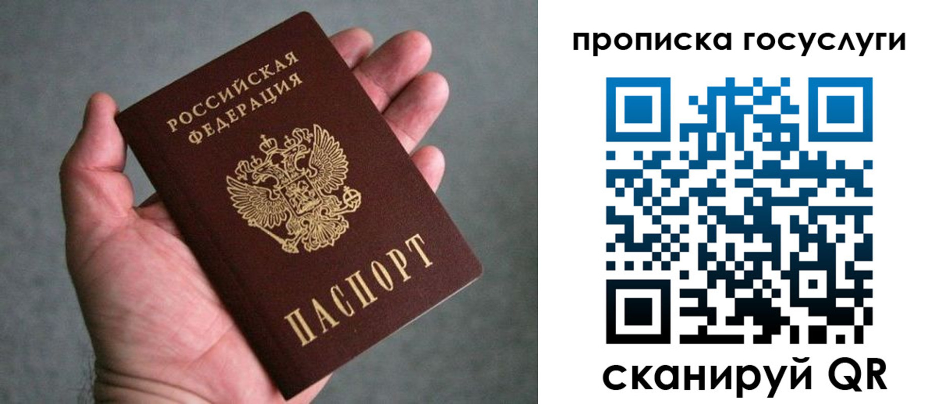 прописка 2025 в Эртили